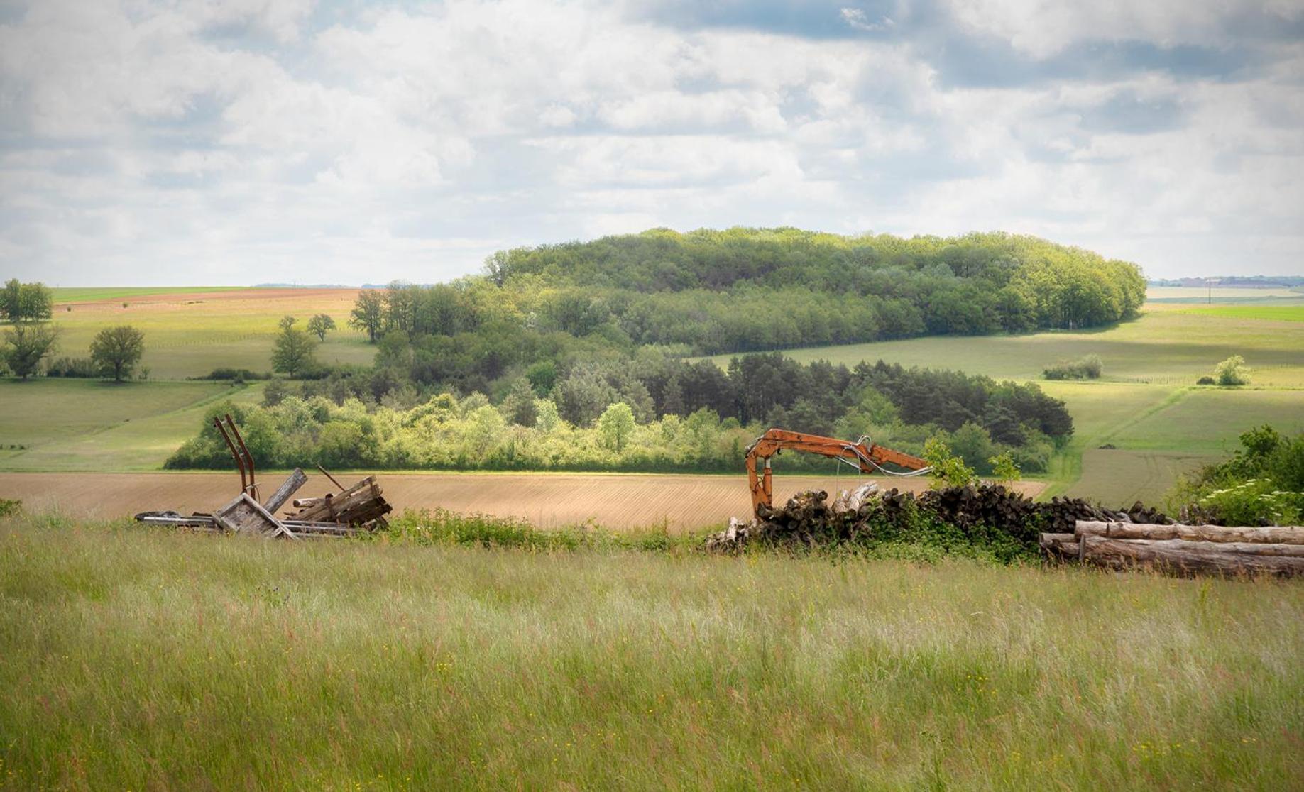 Gite De Charme, Grand Confort Marolles-sous-Lignieres Exteriér fotografie